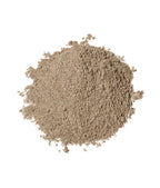 Coriander