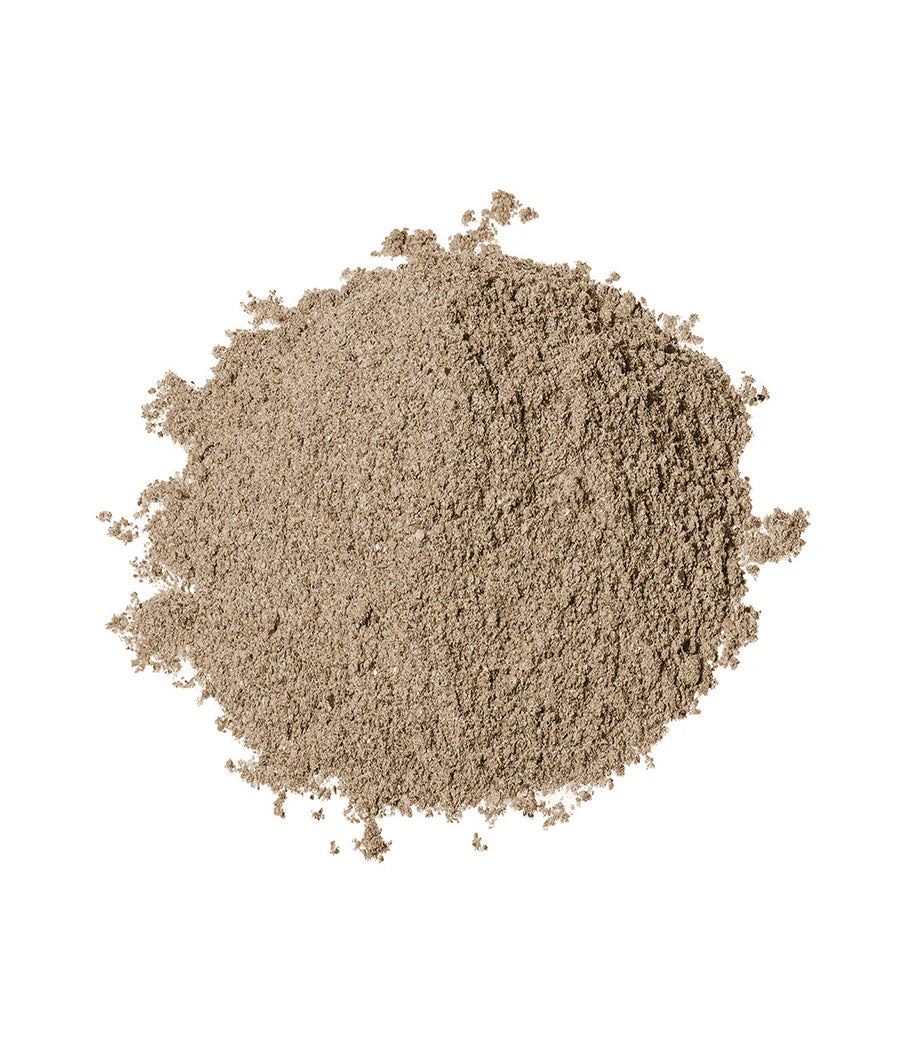 Coriander
